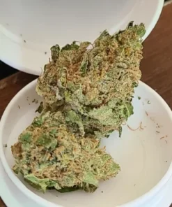 Alternative view of Buy White Rhino Weed