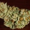Buy Mavericks Marijuana Strain