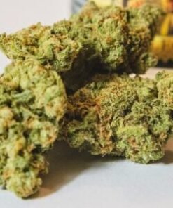 Alternative view of Buy jack herer weed strain