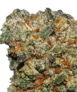 Alternative view of Cap Junky Cannabis Strain