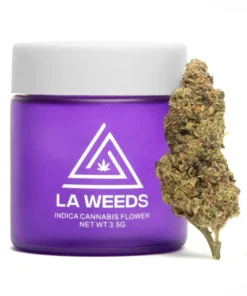 Chronic Kiwi Indica Strain