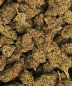 Alternative view of Chronic Kiwi Indica Strain