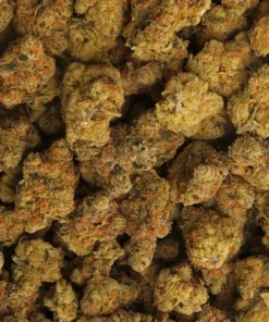 Alternative view of Maltese Orange Cannabis Flower