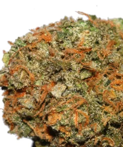 Alternative view of Buy Blue Dream Strain