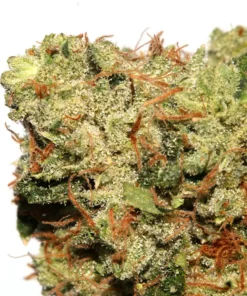 Alternative view of Buy OG Kush Strain Online