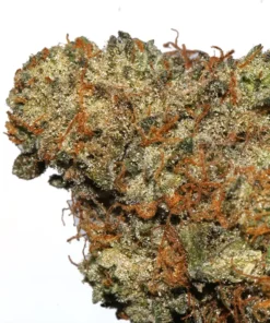 Alternative view of Italian Ice Weed Strain