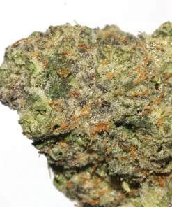 Alternative view of White Mac 11 Cannabis Strain