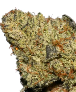 Alternative view of Buy Sunset Sherbert Strain