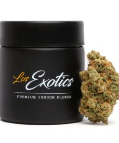 Buy Super Jack Strain