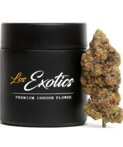 Buy Black Runtz Strain Online