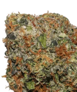 Alternative view of Perfect Gumbo weed Strain