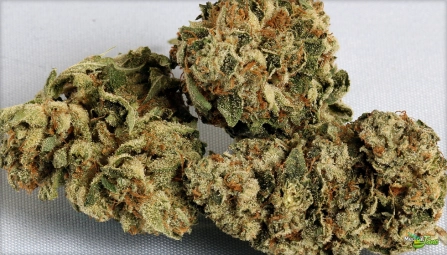 Dime Bag Cannabis Flower - Image 2