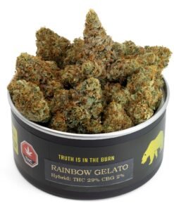 Buy Rainbow Gelato Strain