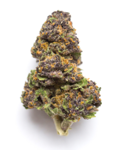 Limoncello hybrid marijuana strain