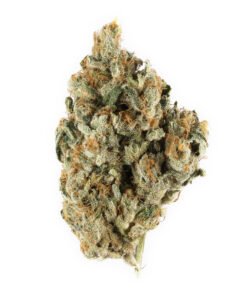 Alternative view of Berry Haze Weed Strain